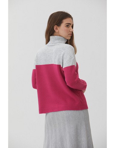 Jersey Cuello Vuelto Bicolor con...